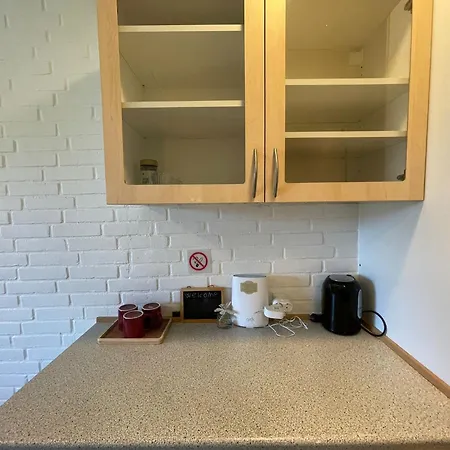 5 Min Walk To Lego House-studio 4 Appartement Billund
